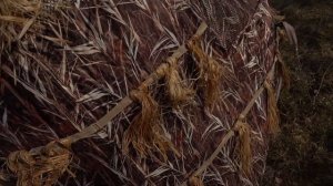 Маскировка скрадка лыком