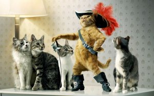 Смешные Кошки и Другие Животные, 10 минут Смеха #3