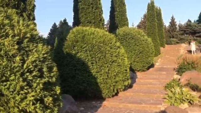 2А