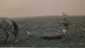 Василий и Василиса