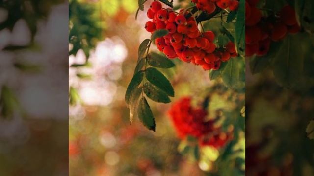 Валерий Михайлович Дидюля (один день в сентябре) смотреть онлайн