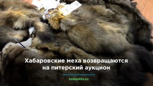 Хабаровские меха возвращаются на питерский аукцион