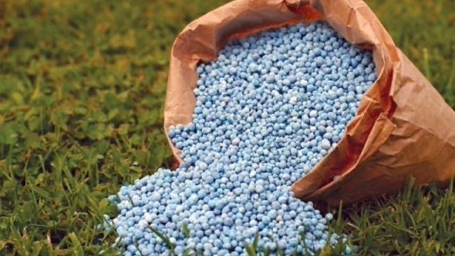 Почему не растут томаты?! смотреть онлайн