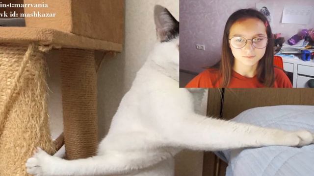 маша марванья пытается настроить стрим на протяжении 58 секунд смотреть онлайн