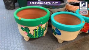 Diseñó de jardines, plantas ornamentales, cactus y suculentas en Vivero Beerseba