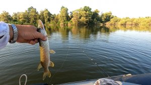 Беляевские карьеры,23,07,23 г, рыбалка джиг спиннингом,Щука и Окунь,вода падает.