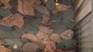 Материал в Ямпольский полк