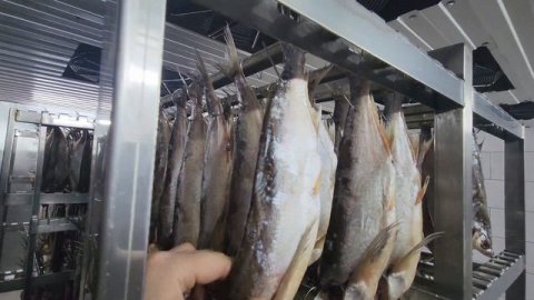 Сушильная камера для рыбы 12 рам