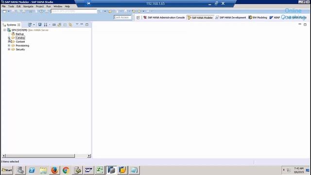 SAP BW On Hana Perspective Tutorial | SAP HANA BW Perspective -4