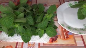 Заготовки на Зиму / Как Заморозить Свежую Мяту / Заморозка Мяты