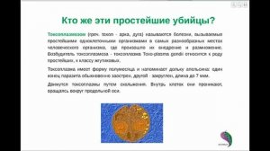 Лечение трихомонады приборами Биомедис М. Очищение организма от трихомонады в домашних условиях