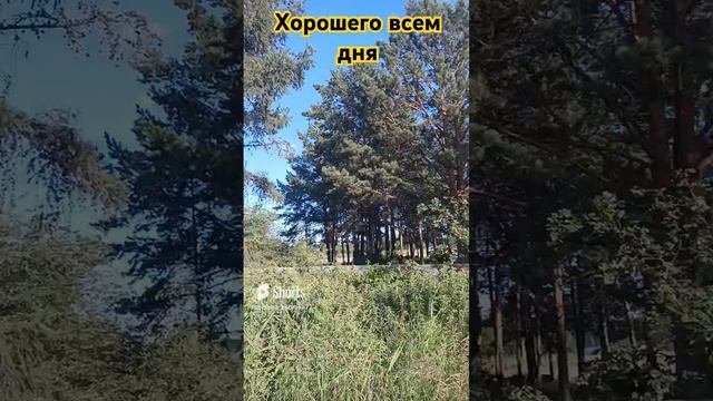 #урал #природа #рекомендации #лето #nature #shortsvideo #life #интересное