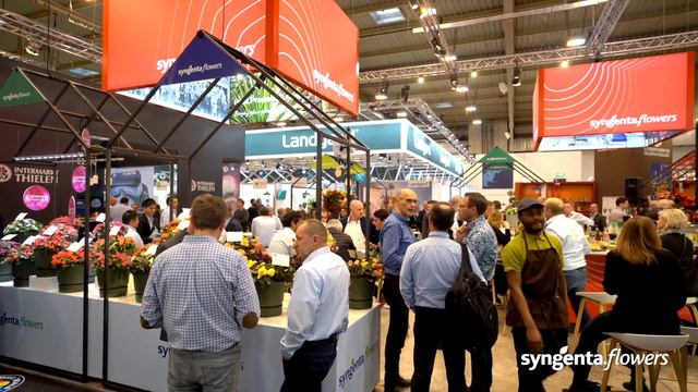 Syngenta Flowers at IPM 2020 - Aftermovie смотреть онлайн