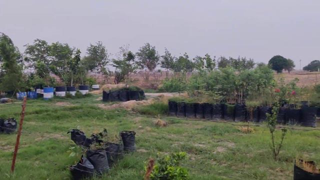 Bougainvillea is a genus of thorny ornamental vines, bushes .It is native to South America смотреть онлайн