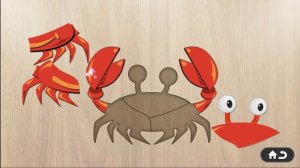 Puzzle 4 Kids-Animals Game Play, Kid Game Lerning Child 3