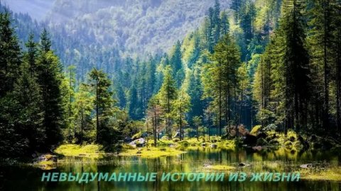 ?ТУДА ГДЕ РОДИЛСЯ?Истории из жизни?Аудио рассказ?Жизненные истории