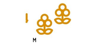 Туристический брендинг Архангельской области