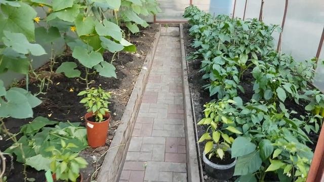 Дача.9июля