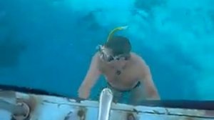 нападение мурены египет