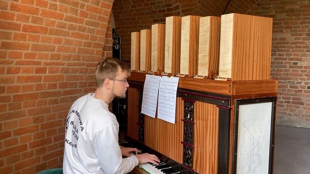 When you wish upon a star cover- concert celesta I built with friend