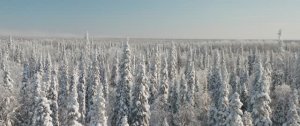 Русский Север: сияние и олени, водопады и зодчество, пещеры и мельницы. По берегам Пинеги и Мезени.