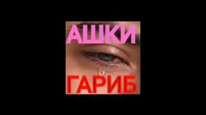 Модарчон