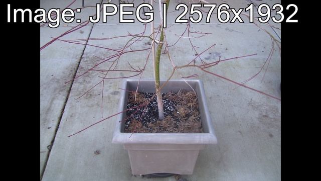 Another Sad Kodak Digital Camera - Kodak EasyShare C533 смотреть онлайн