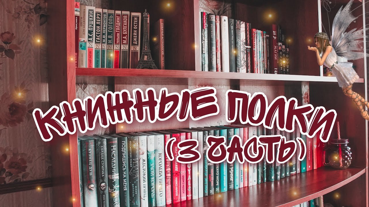 КНИЖНЫЕ ПОЛКИ (3 ЧАСТЬ)