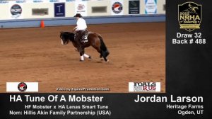 NRHA 2022 Futurity in OK 🐴 HA Tune Of A Mobster 🇺🇸 Jordan Larson… 221½ (Reserve Champion Open Lev.3