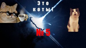 Новые приколы с котами! Смешные коты! Мемные коты! Подборка! Часть 5!