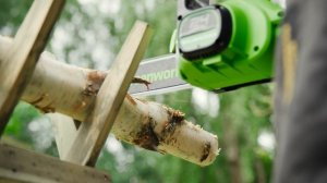 Greenworks 24V 30cm (12") Cordless Brushless Chainsaw - GWGD24CS30
