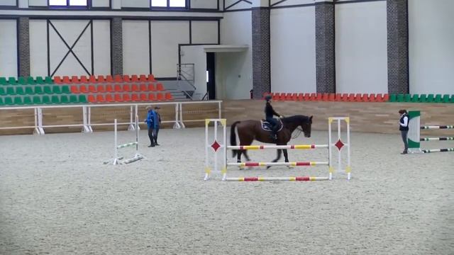 18 01 17 Учебно тренировочный сбор по конкуру с МСМК В Белецким и МСМК И Самодуровским смотреть онлайн