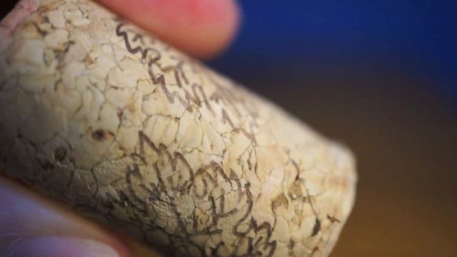 Sony Nex-5N 30mm Macro Lens Unboxing and Samples смотреть онлайн