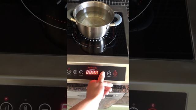 Amberly gourmet IC1120-PRO лучшая индукционная плита 2021 года?Обзор и первый перегон.