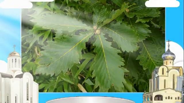 Святая Троица смотреть онлайн