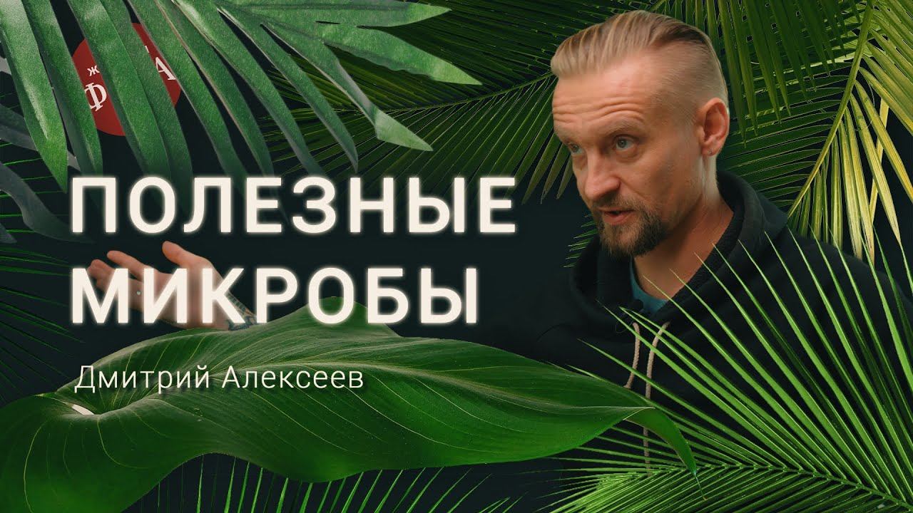 ВРЕДНАЯ ЕДА: Для кого опасны глютен и лактоза? Ученый Дмитрий Алексеев о микробах, еде и здоровье