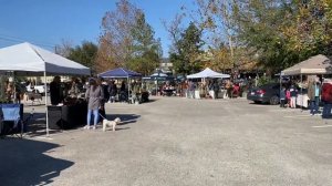 Houseplant Shopping & Haul 2021 | Hoya, Maranta & Pots!