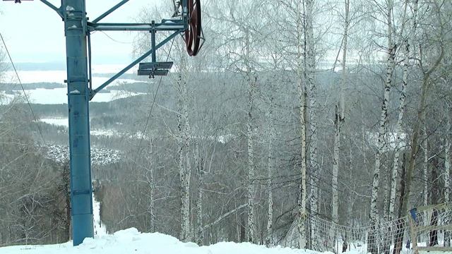 Глк вишневая. Гора его.