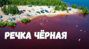 Полет над диким пляжем на речке Черная г. Сургут