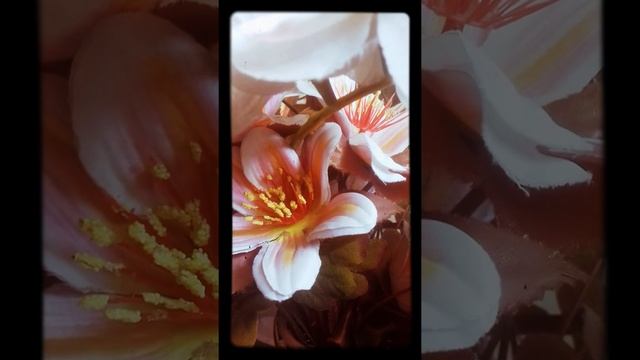 Express your feelings and get rid of your stress смотреть онлайн