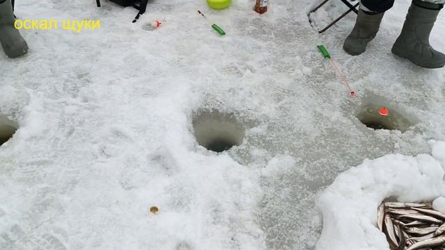 Рыбалка Улов корюшки