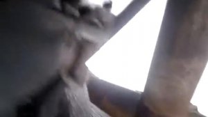 Автономный котёл подогрева ПБЖ-12 на мтз.