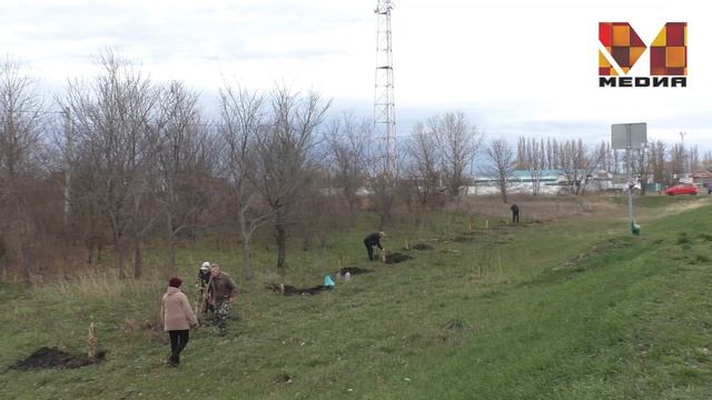 Курганинск - город тополей смотреть онлайн