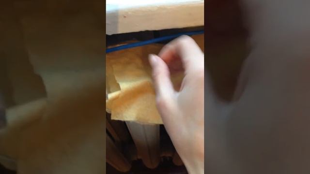 Выращивание томата Вилма на подоконнике смотреть онлайн