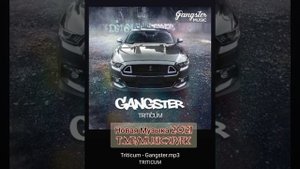 Triticum - Gangster (Новая Музыка 2021) крутой клубняк