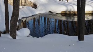 Зимнее  утро в парк-отеле "Хвалынский"