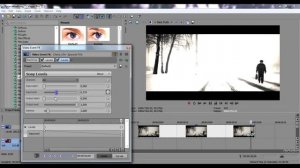 Эффекты в Sony Vegas |  Как осветить? Blur, Levels