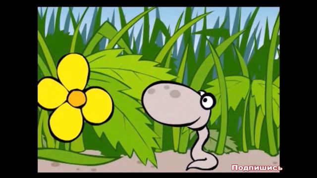 К чему снится ЧЕРВЬ | СОННИК смотреть онлайн