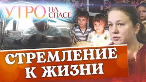 СТРЕМЛЕНИЕ К ЖИЗНИ