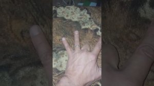 Слабо поднять безымянный палец.